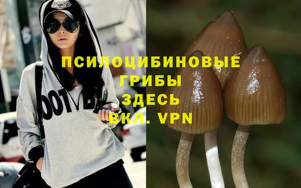 прущий лед Коряжма