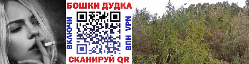 Канабис семена  Купить  Горнозаводск 